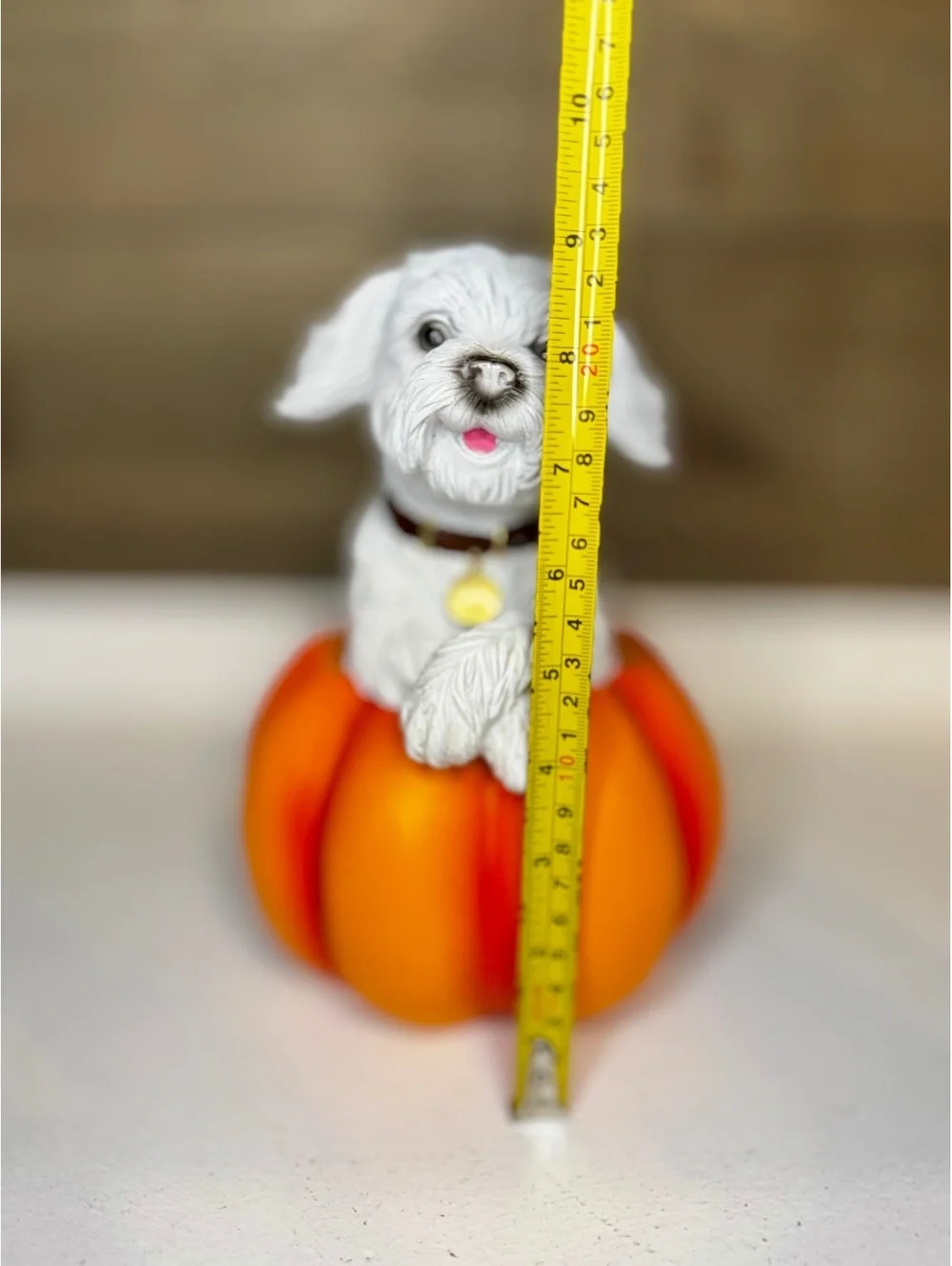 Fall Pumpkin Dog Figurine - Maltese Shih Tzu in Pumpkin Resin Decor 8